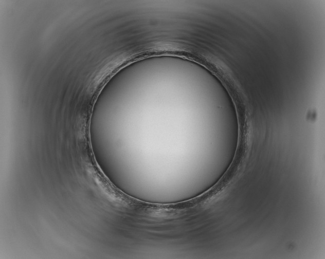 X0000113220833200909241446