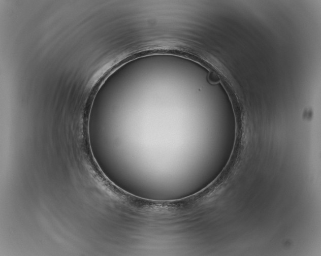 X0000113220834200909241446