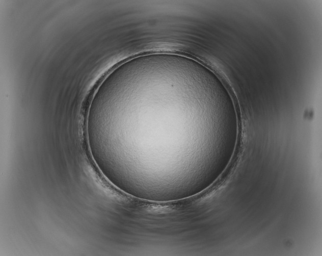 X0000113220835200909241446