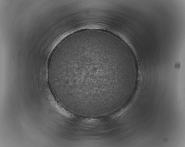 X0000113220837200909241446