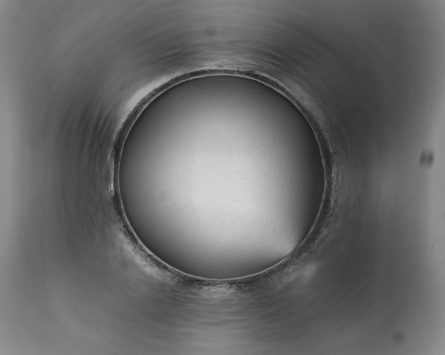 X0000113220838200909241446