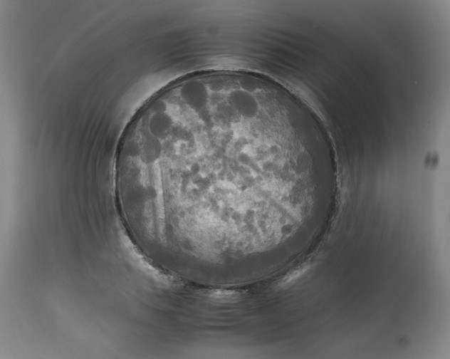 X0000113220839200909241446