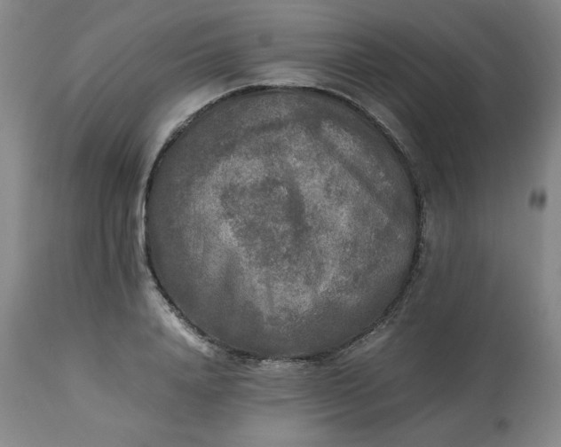 X0000113220840200909241446