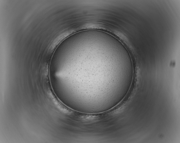 X0000113220841200909241446