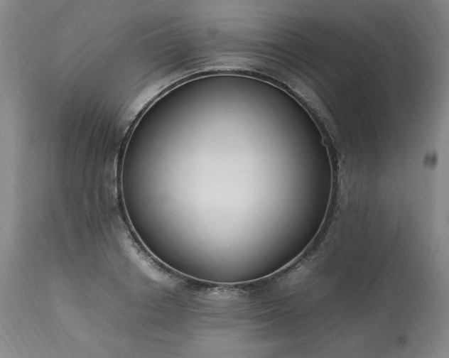 X0000113220842200909241446