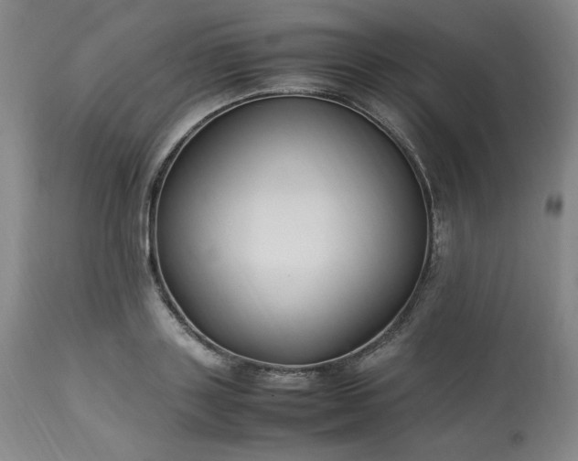 X0000113220843200909241446