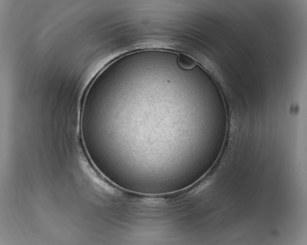 X0000113220844200909241446