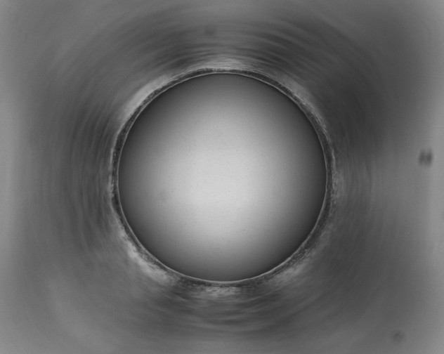 X0000113220845200909241446