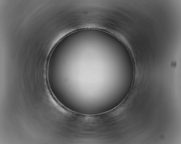 X0000113220847200909241446