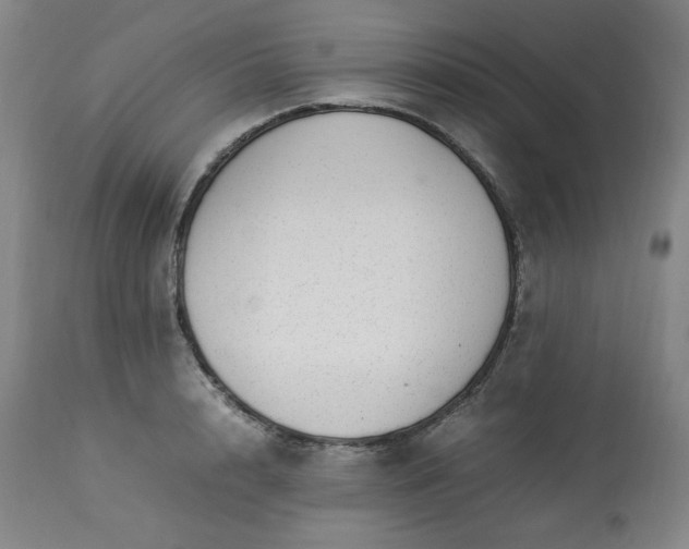 X0000113220848200909241446