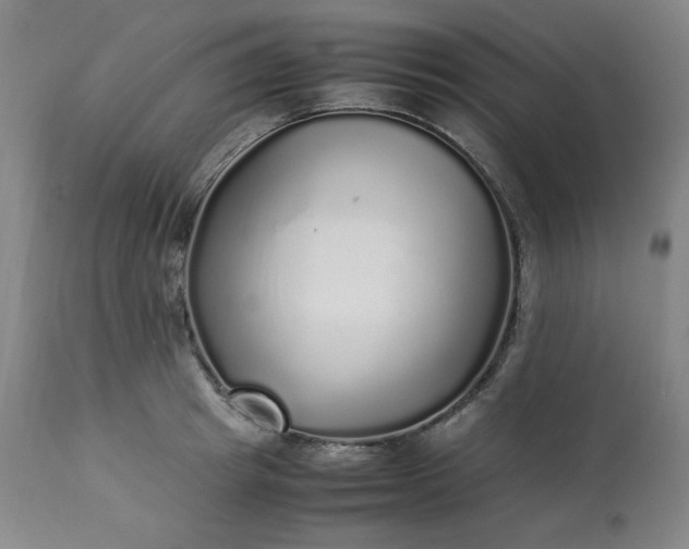 X0000113220849200909241446