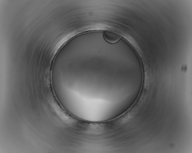 X0000113220850200909241446