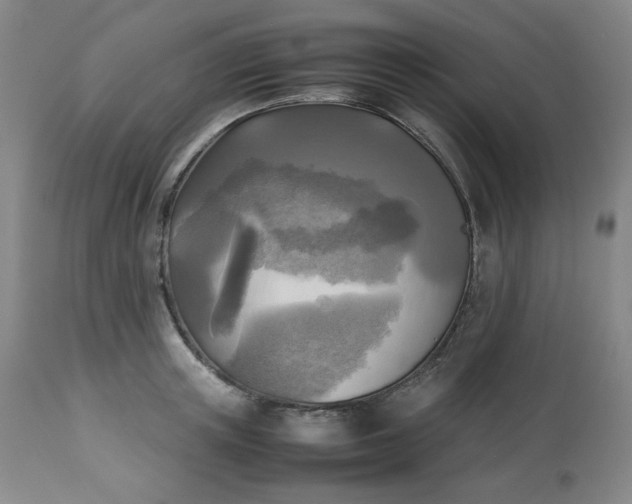 X0000113220851200909241446