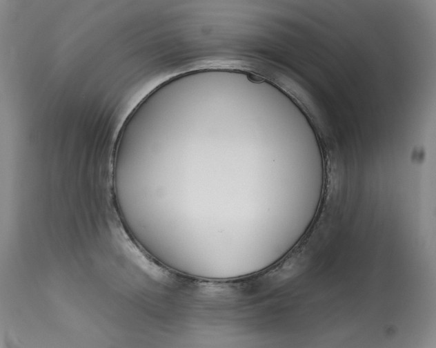 X0000113220852200909241446