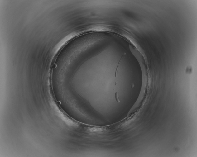 X0000113220853200909241446