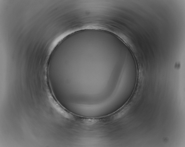 X0000113220854200909241446