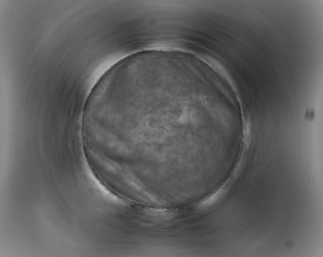 X0000113220855200909241446