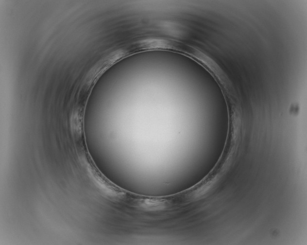 X0000113220857200909241446