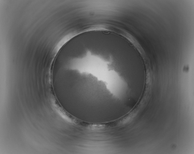 X0000113220858200909241446