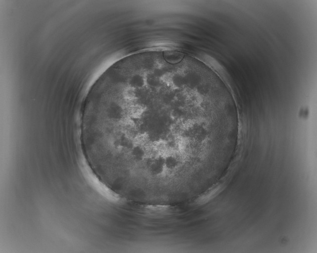 X0000113220859200909241446