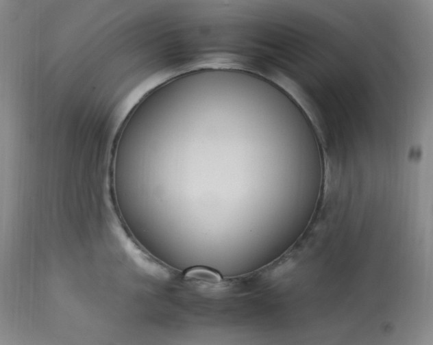 X0000113220861200909241446