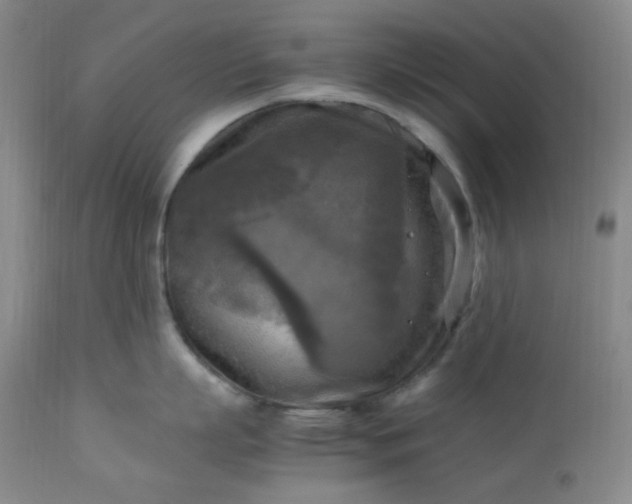 X0000113220863200909241446