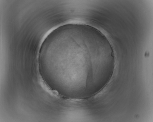 X0000113220864200909241446