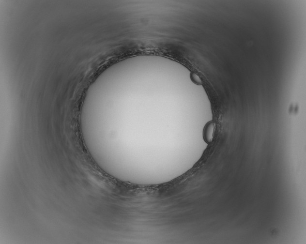 X0000113220865200909241446