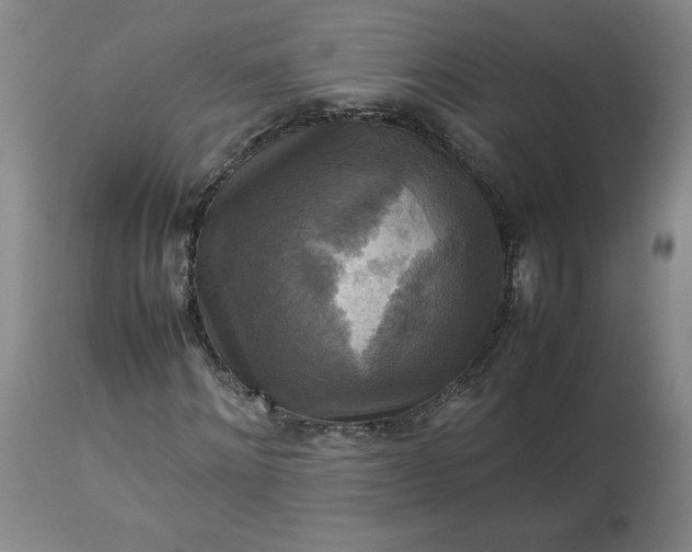 X0000113220868200909241446