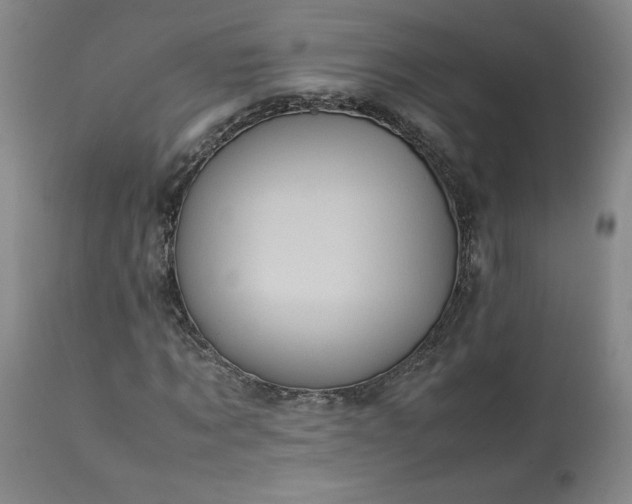 X0000113220869200909241446