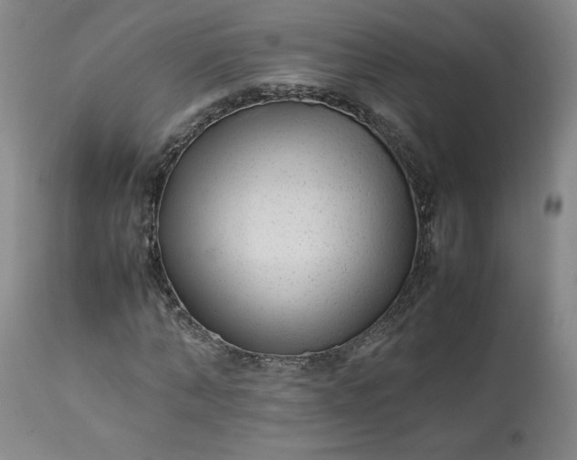 X0000113220870200909241446