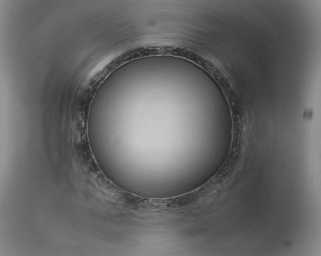 X0000113220871200909241446