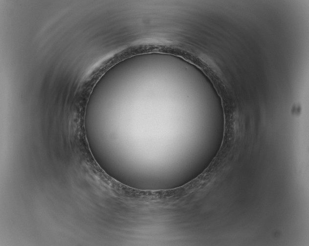 X0000113220872200909241446