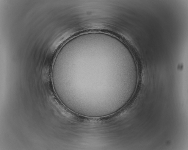 X0000113220873200909241445