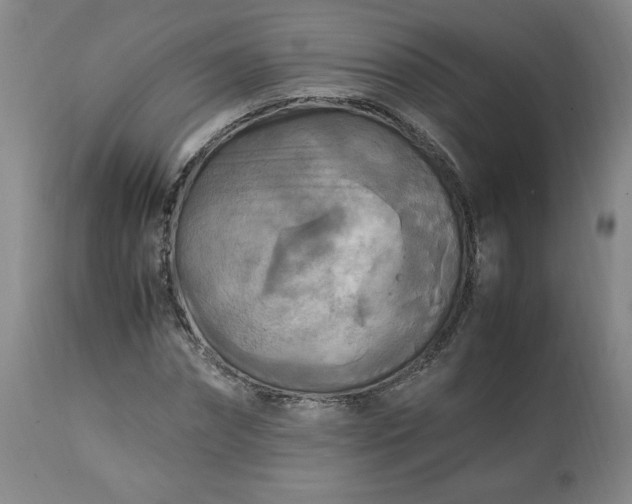 X0000113220874200909241445