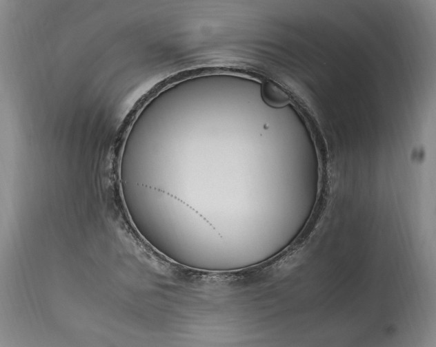 X0000113220875200909241445