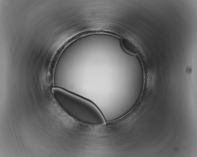 X0000113220876200909241445