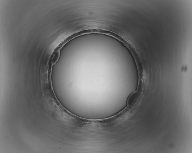 X0000113220877200909241445