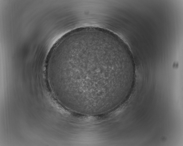 X0000113220879200909241445