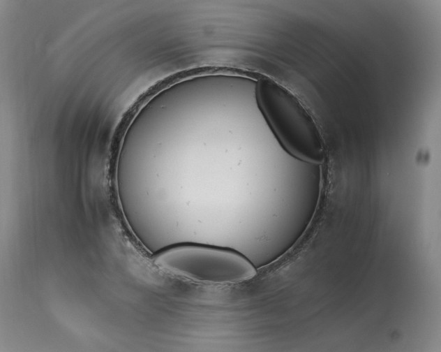 X0000113220880200909241445