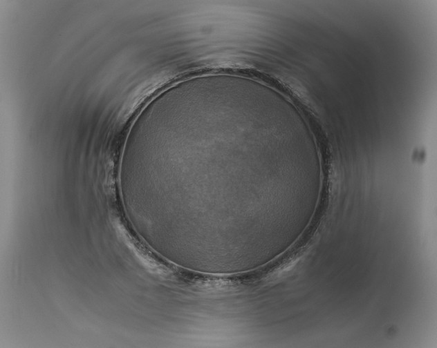 X0000113220881200909241445