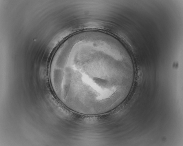 X0000113220882200909241445