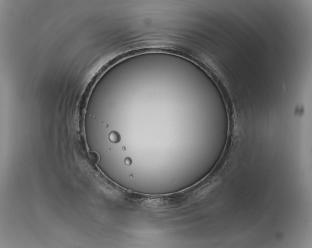 X0000113220883200909241445