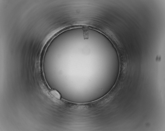 X0000113220884200909241445