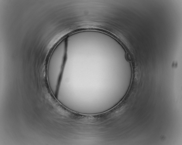 X0000113220885200909241445