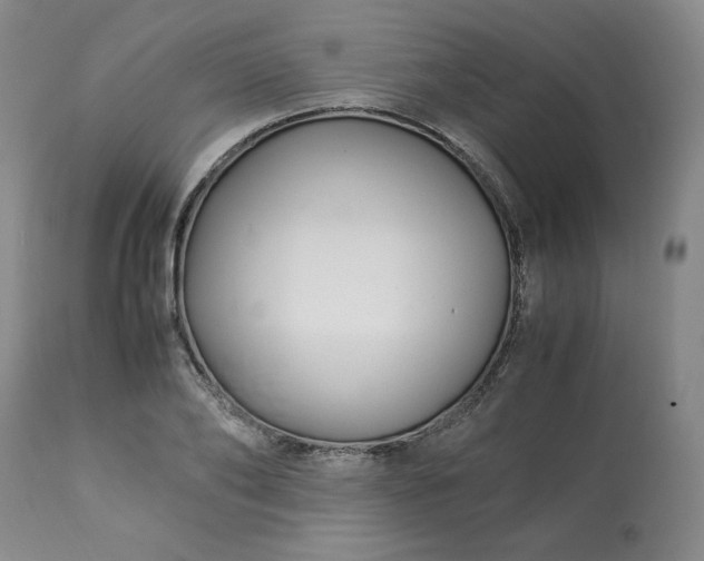 X0000113220886200909241445