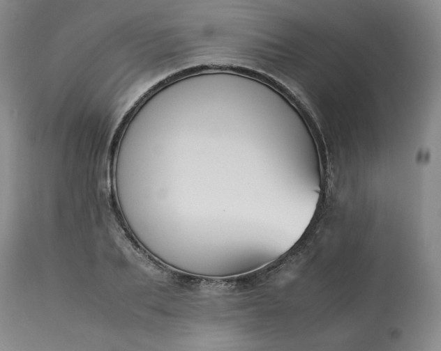 X0000113220887200909241445