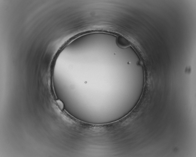 X0000113220888200909241445