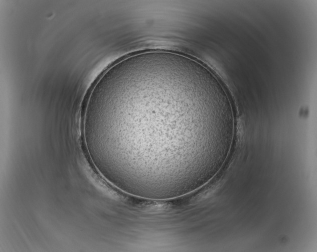 X0000113220891200909241445