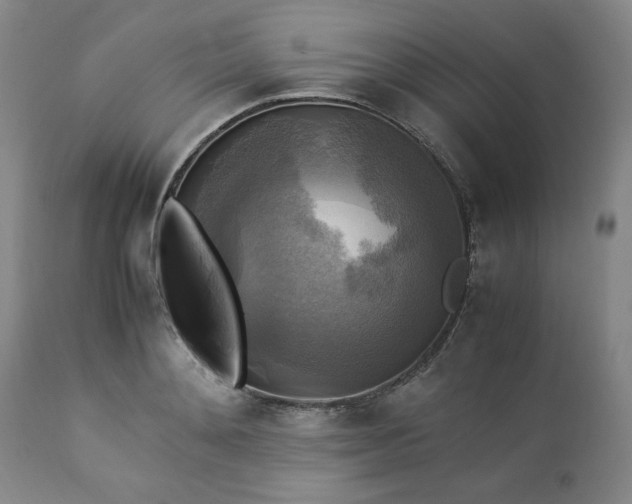 X0000113220892200909241445